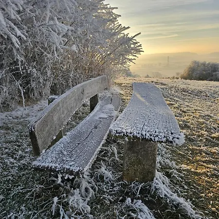 Gabi Apartment Eigeltingen